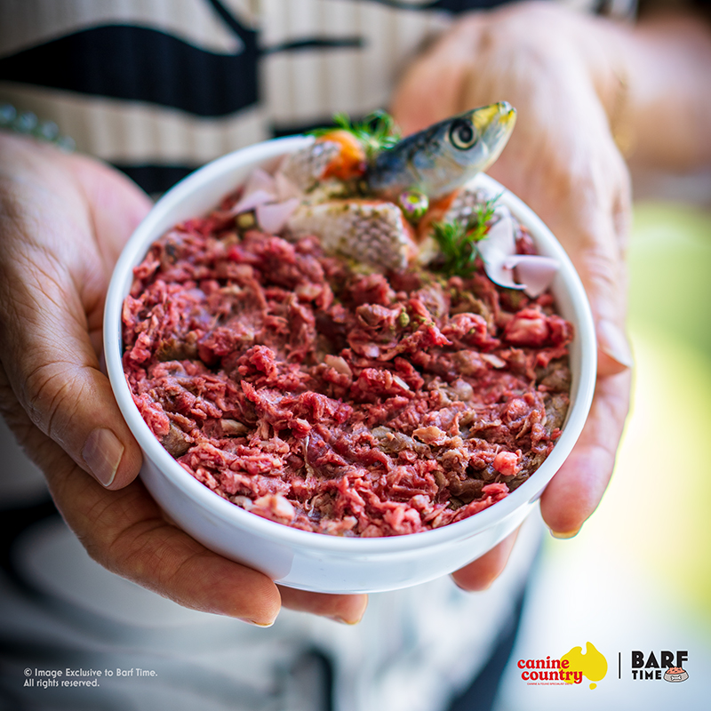 Natural Kangaroo Raw Cat Food by Canine Country - Brisbane Queensland Delivery by Barf Time