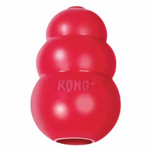 KONG Classic Rubber Toy by Barf Time