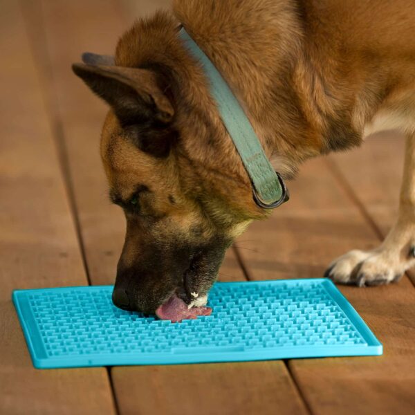LickiMat Buddy XL Dog Bowl for Large Dogs by Barf Time