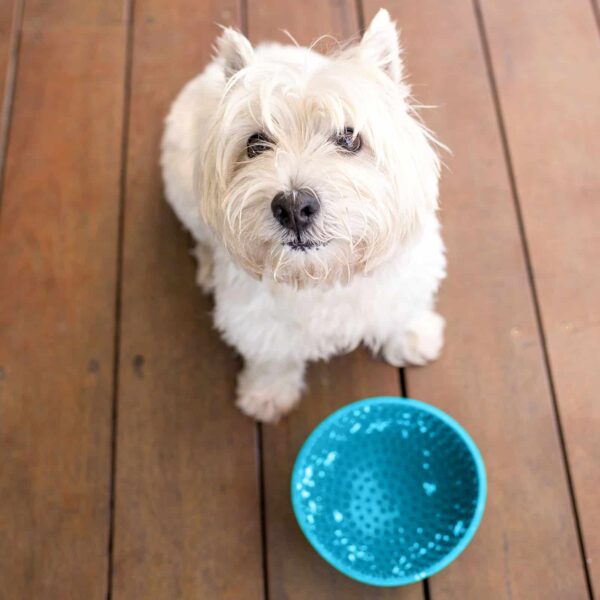 LickiMat Wobble Bowl for Small Dogs by Barf Time