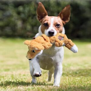 KONG Scrunch Knots Squirrel Dog Toy for all breeds by Barf Time