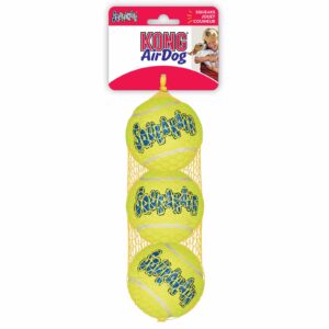 KONG SqueakAir Medium Toy by Barf Time