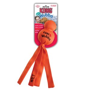 KONG Water Toy for all dogs by Barf Time