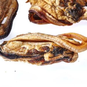 Tasty New Zealand Green Lipped Mussels for Dogs by Clear Dog