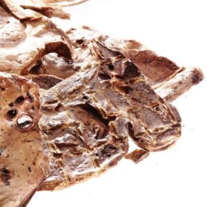 Crunchy Lamb Puff Treats for Dogs by Barf Time