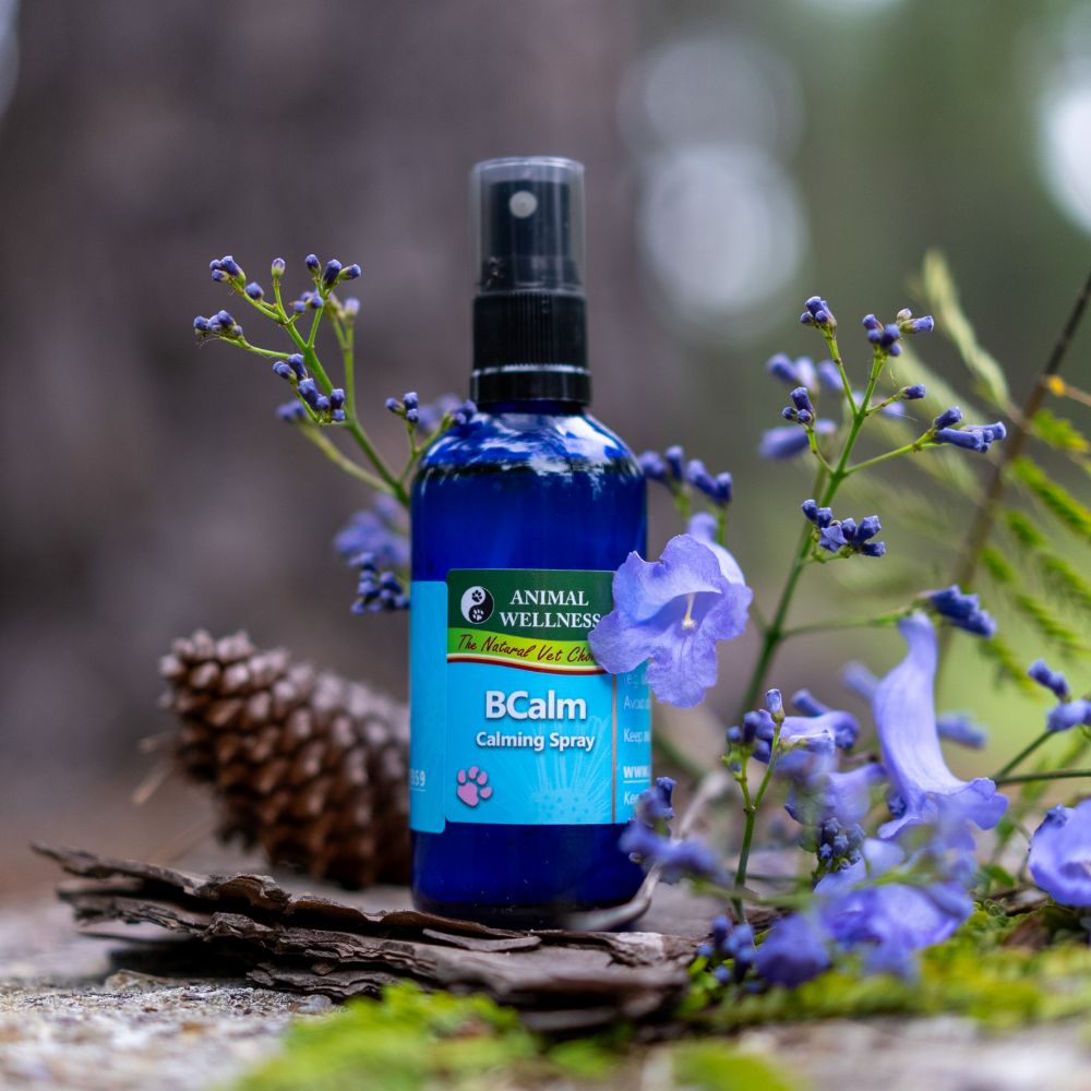 All natural Calming Spray for Dogs • Be Calm by Barf Time