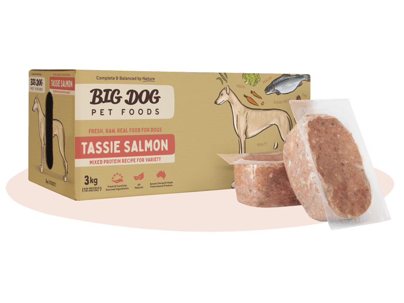 Salmon for Dogs by Big Dog - Brisbane Queensland Delivery by Barf Time