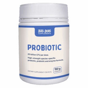 Best Probiotics for Dogs & Cats by Big Dog - Brisbane Queensland Delivery by Barf Time