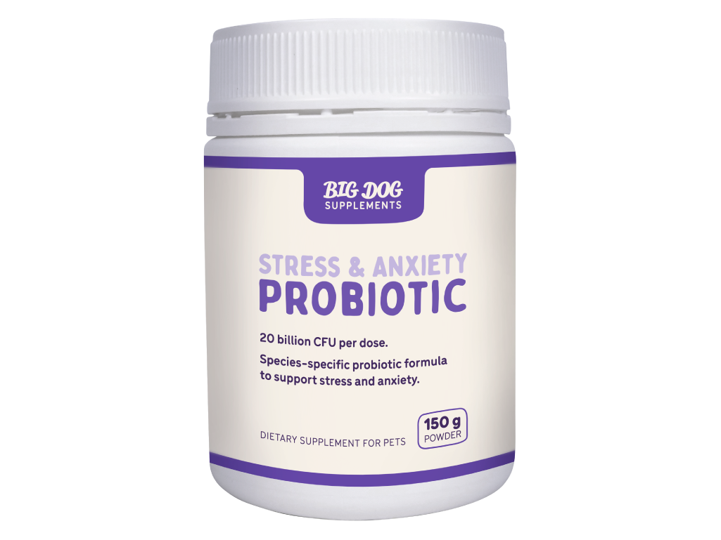 Best Stress and Anxiety Probiotic for Dogs & Cats by Big Dog - Brisbane Queensland Delivery by Barf Time