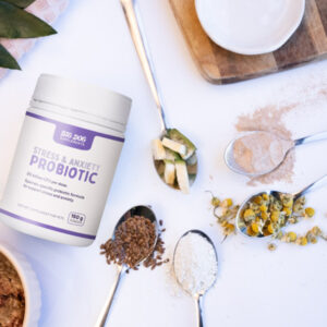 Healthy Stress and Anxiety Probiotic by Big Dog - Brisbane Queensland Delivery by Barf Time