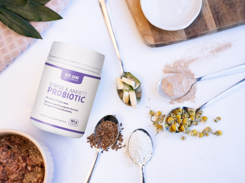 Healthy Stress and Anxiety Probiotic by Big Dog - Brisbane Queensland Delivery by Barf Time