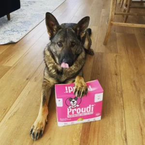 Healthy Chicken Raw Dog Food by Proudi - Brisbane Queensland Delivery by Barf Time
