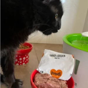 Healthy Raw Kangaroo and Beef for Cats by Proudi - Brisbane Queensland Delivery by Barf Time
