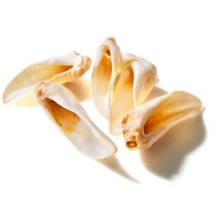 Natural Australian Sheep Ears for Dogs by Clear Dog - Brisbane Queensland Delivery by Barf Time